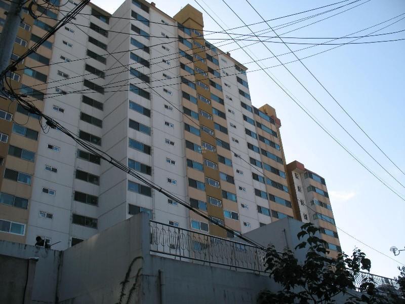 사진 285