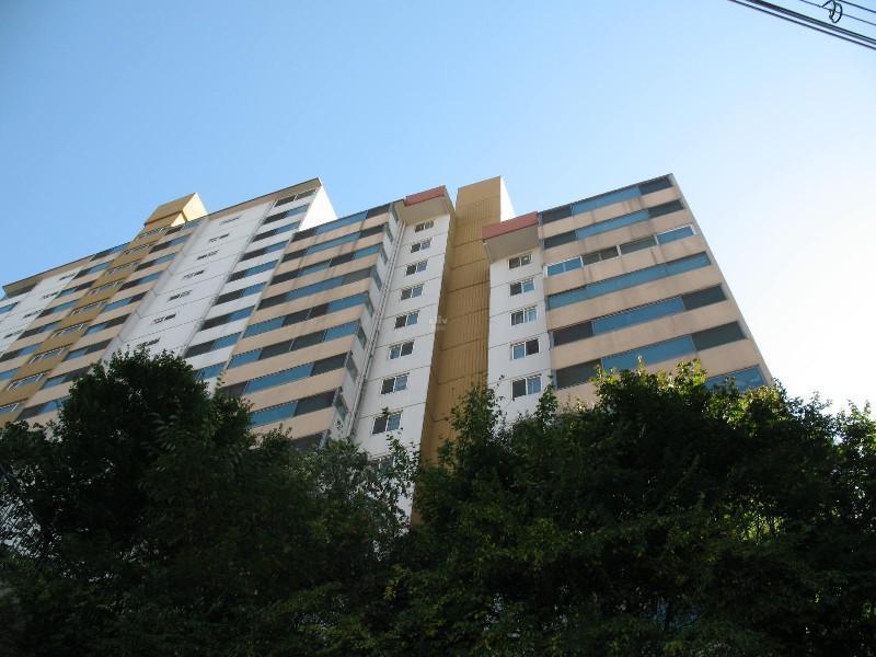 사진 287