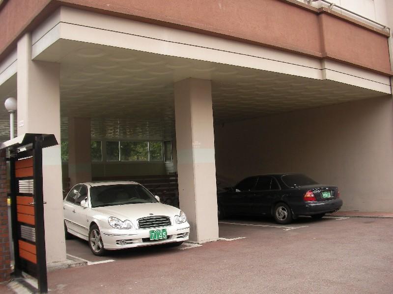SANY0345