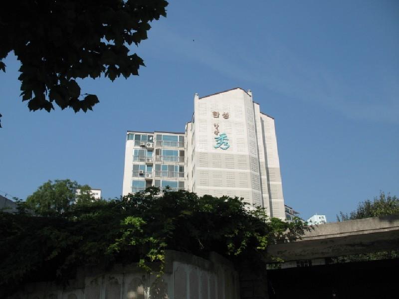 사진 384