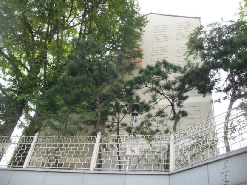 사진 387