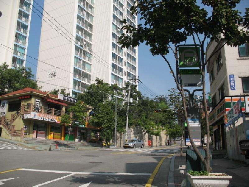 사진 385