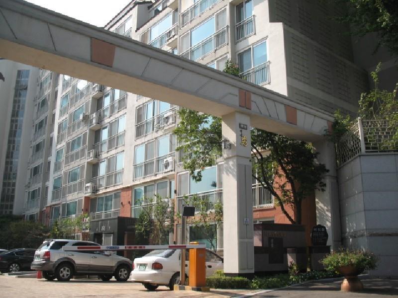 사진 389