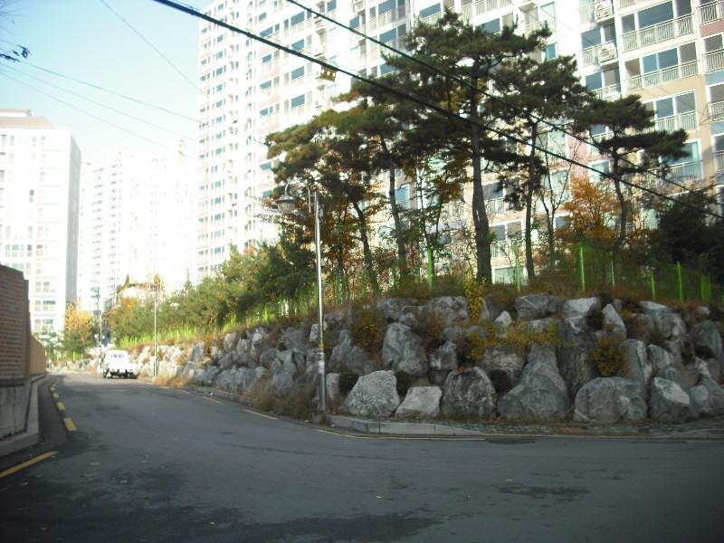 DSCF0192