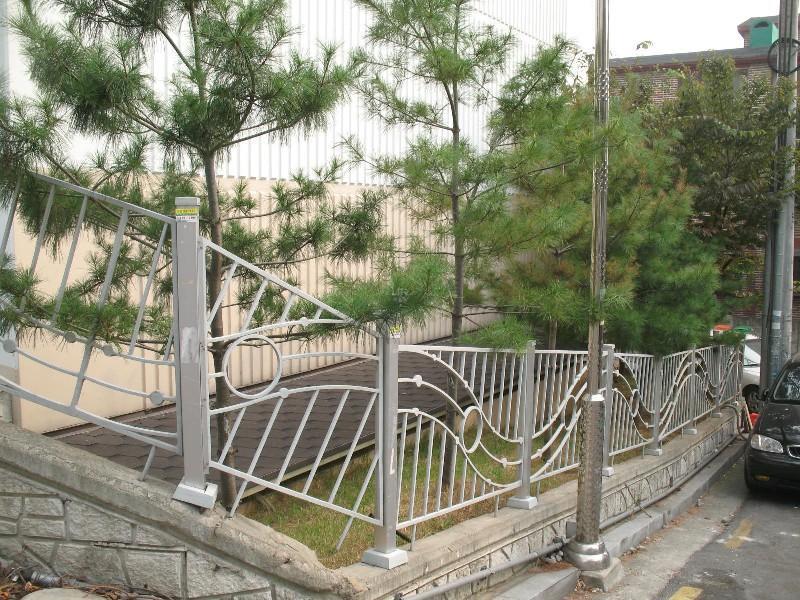 사진 591