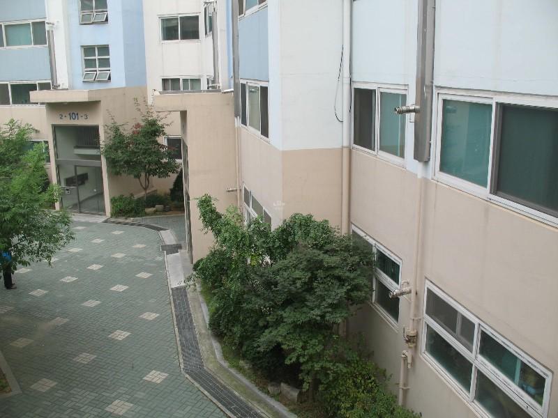 사진 595