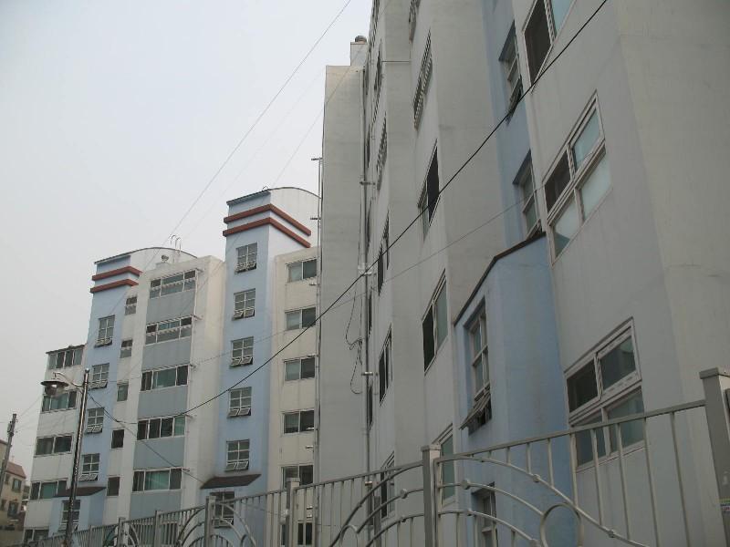 사진 592