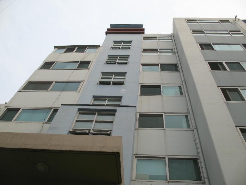 사진 601