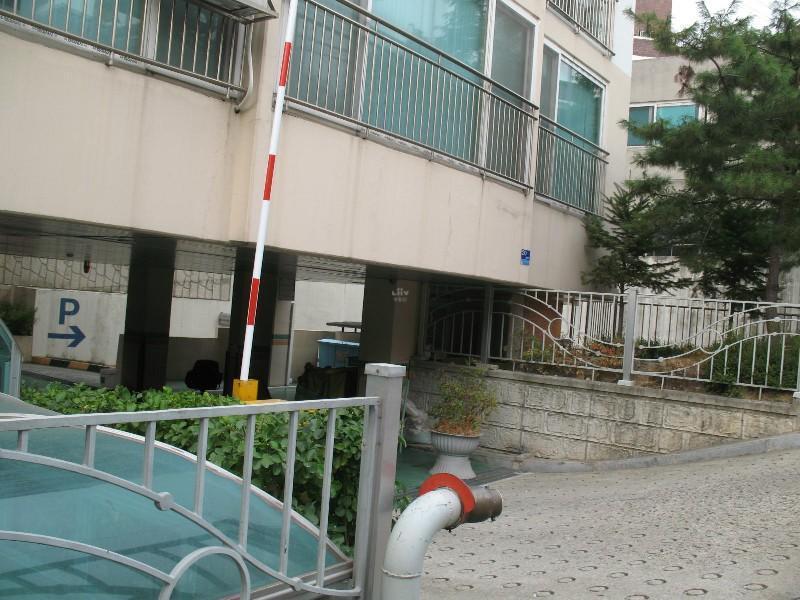 사진 599