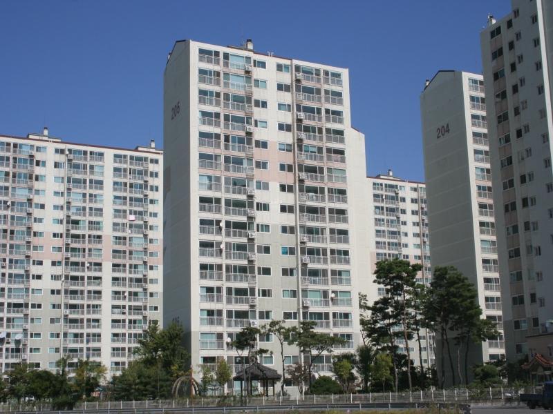 205동