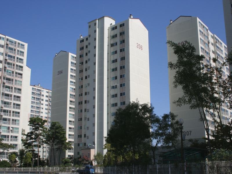 206동