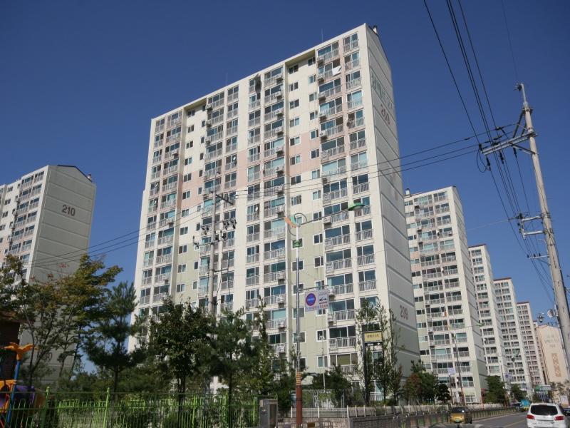 209동