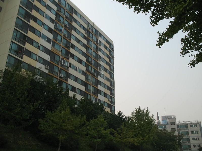 사진 687