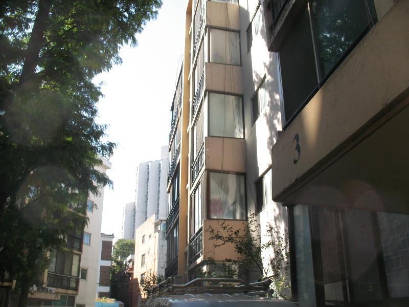 사진 029