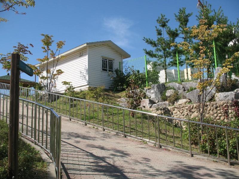 사진 098