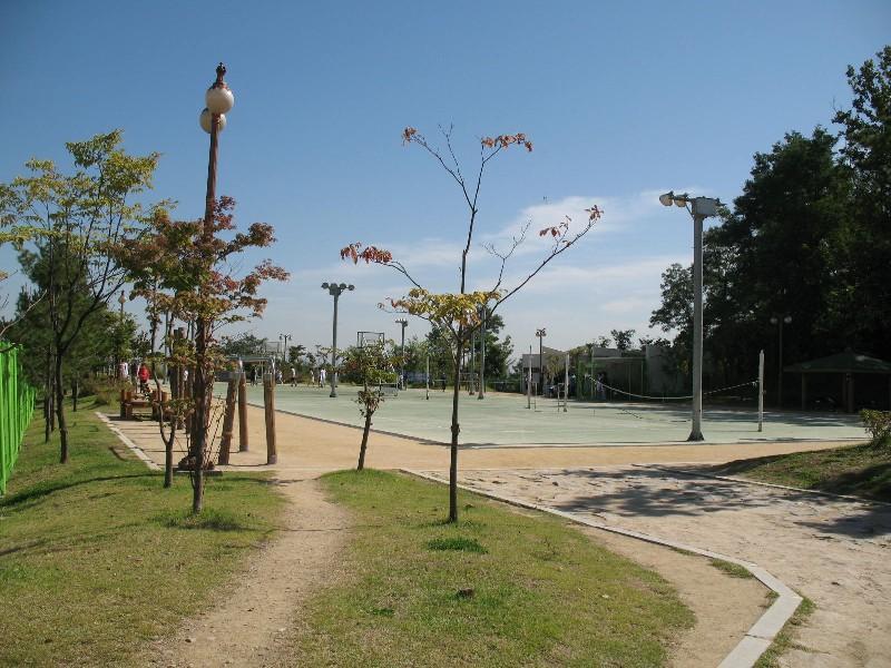 사진 099