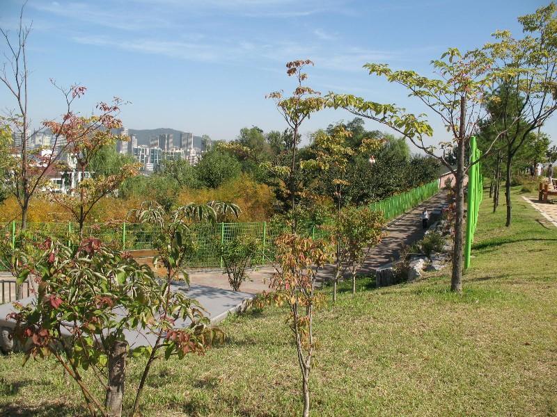 사진 100
