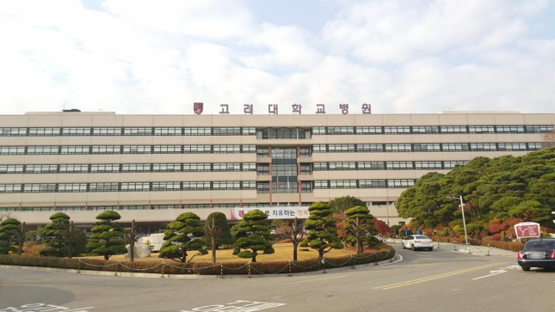 단지 인근에 위치한 고려대학교병원입니다