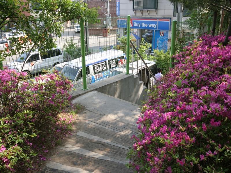 부출입구
