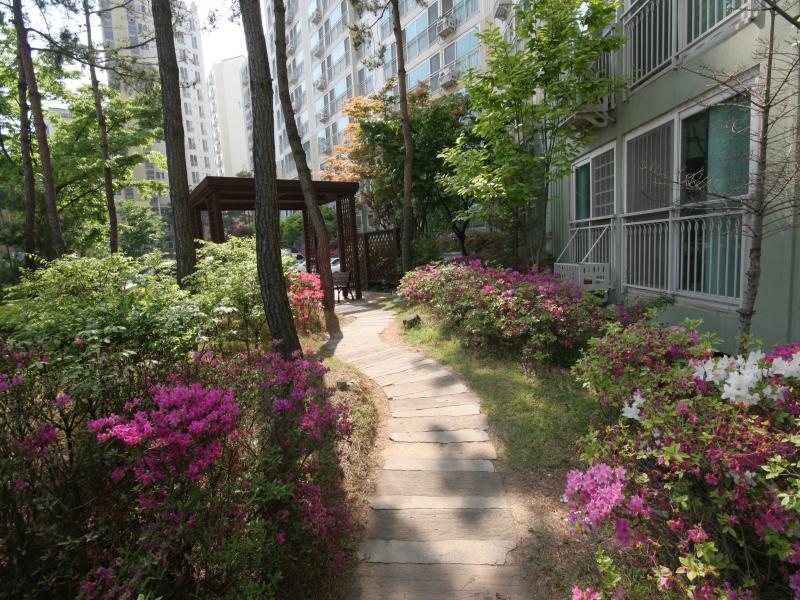산책로