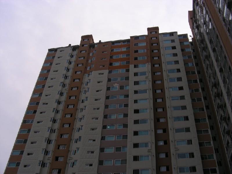 DSCN6622