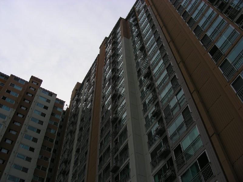 DSCN6623