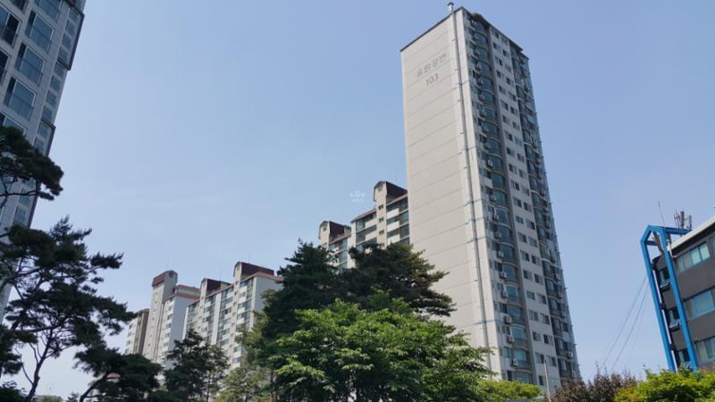 2000년 08월에 입주를 시작한 단지인 만큼 부분적으로 연식이 느껴지지만 전체적으로 양호하게 관리된 단지 외관이에요