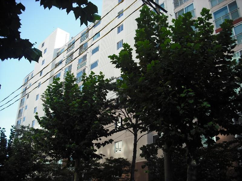 DSCF0565