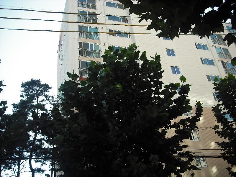 DSCF0571