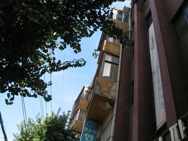 사진 217