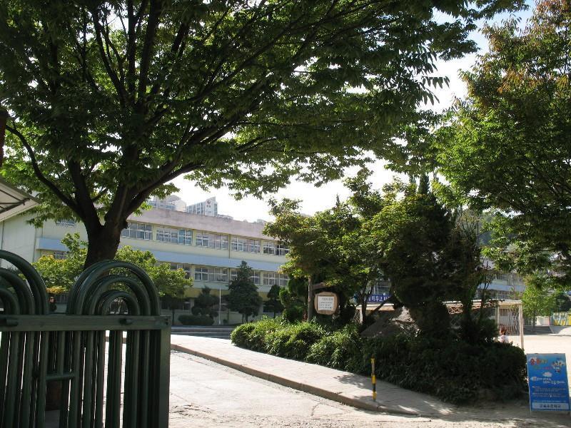 사진 215