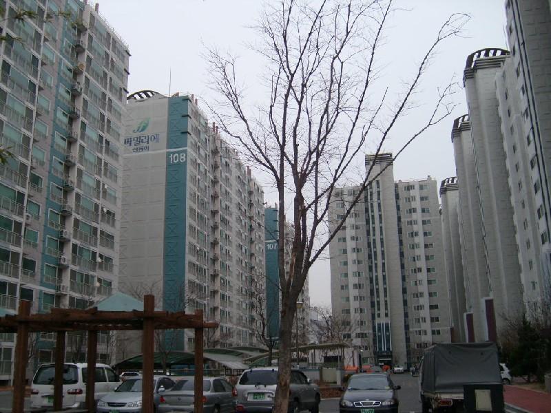 S7304256