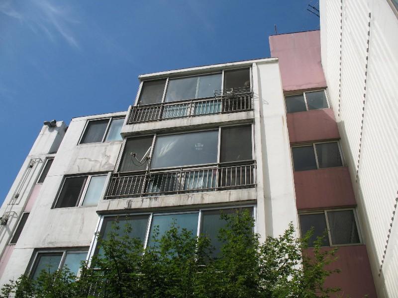 사진 271