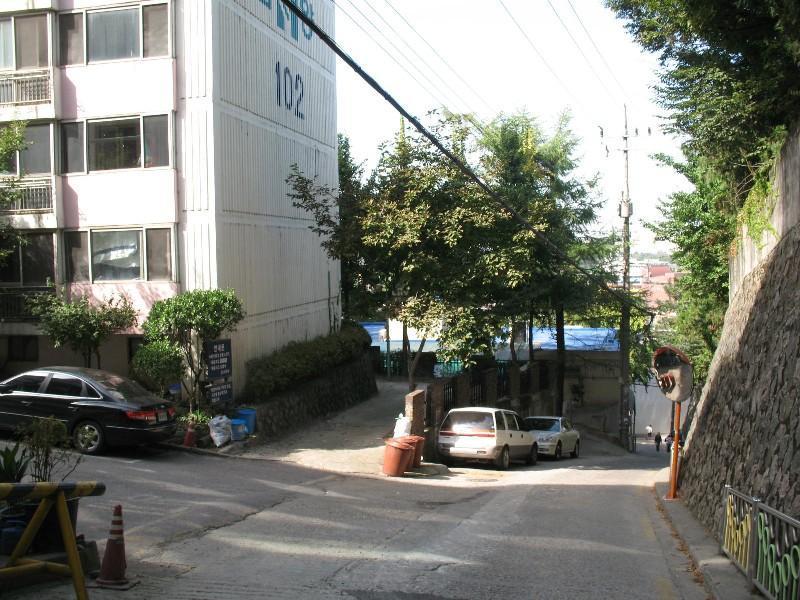 사진 270