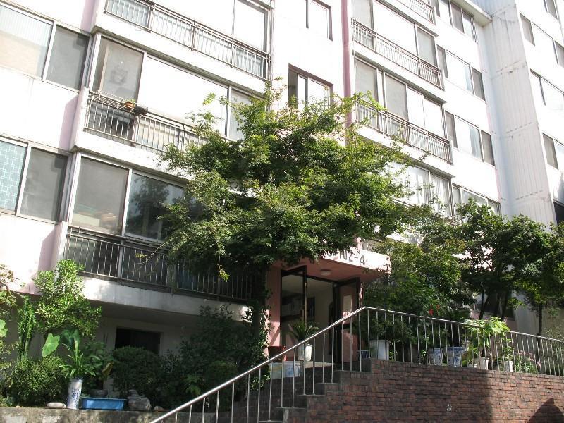 사진 279