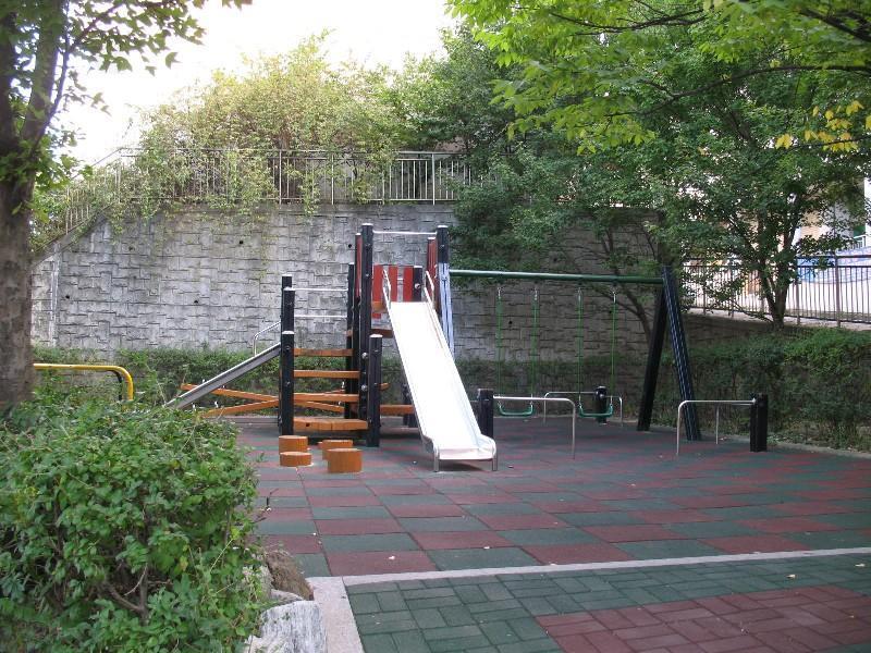 사진 210