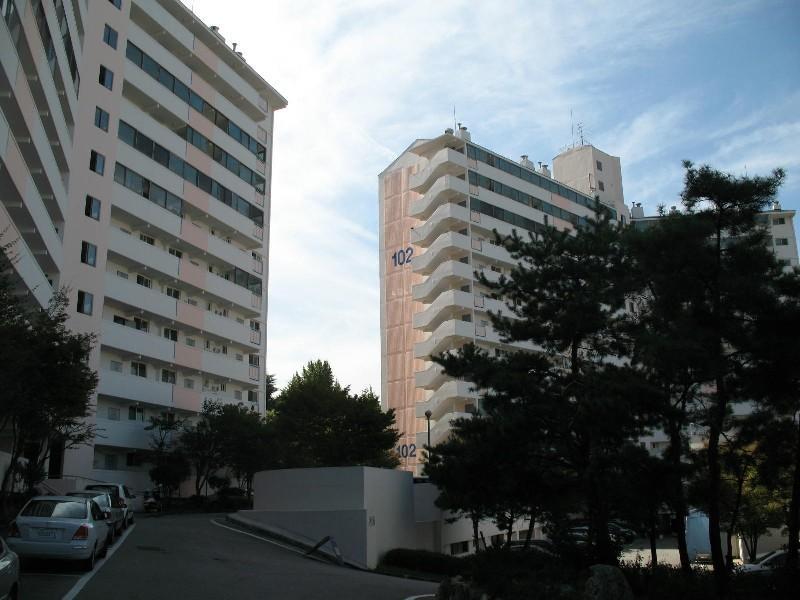 사진 206