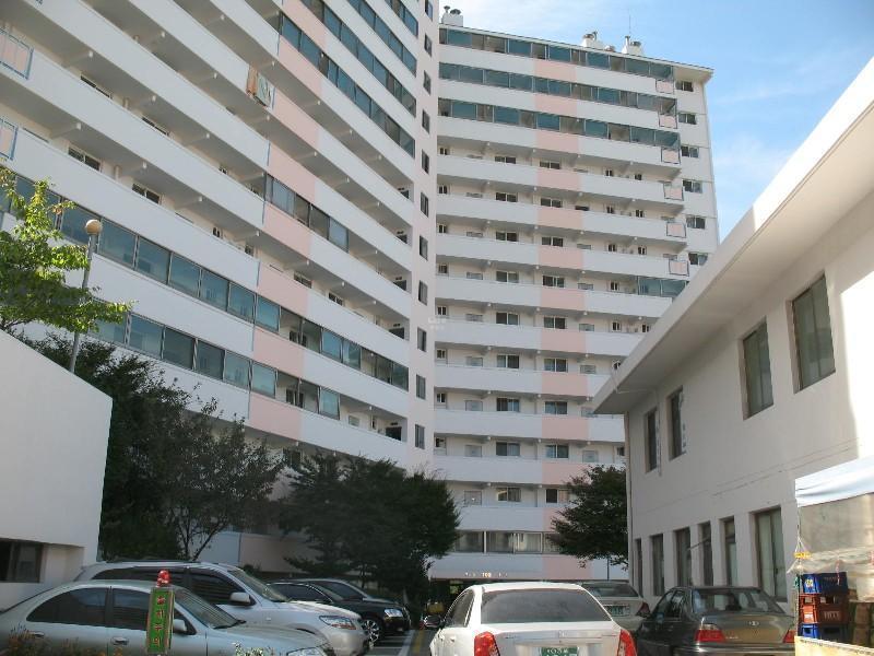 사진 209