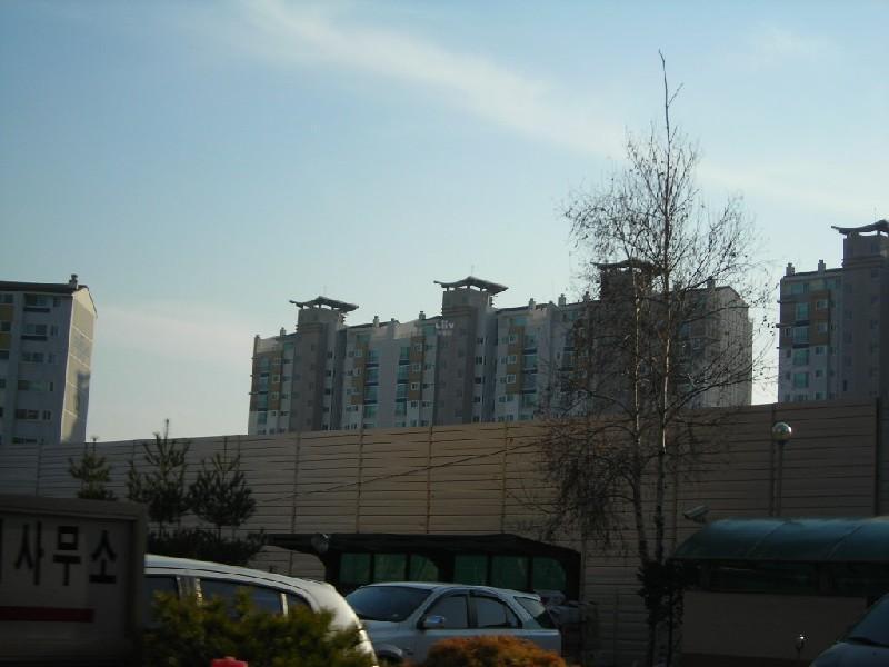 DSCN8532