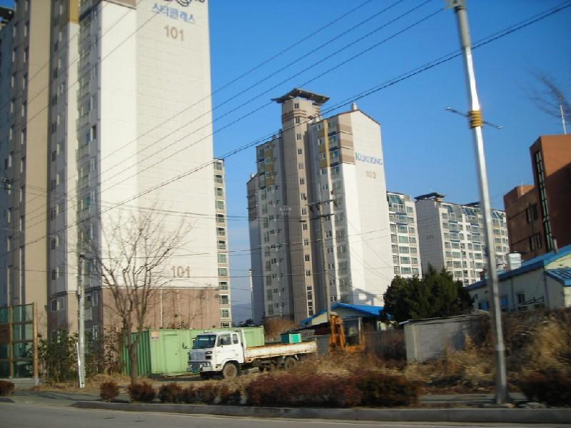 DSCN8538
