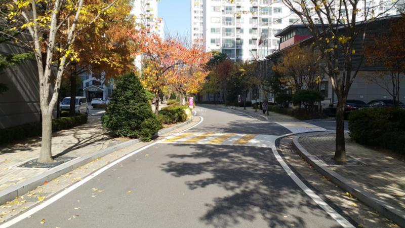 삼산타운1단지 내 도로 입니다