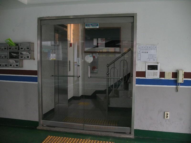 사진 913