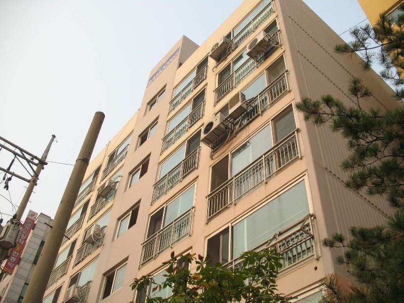 사진 917