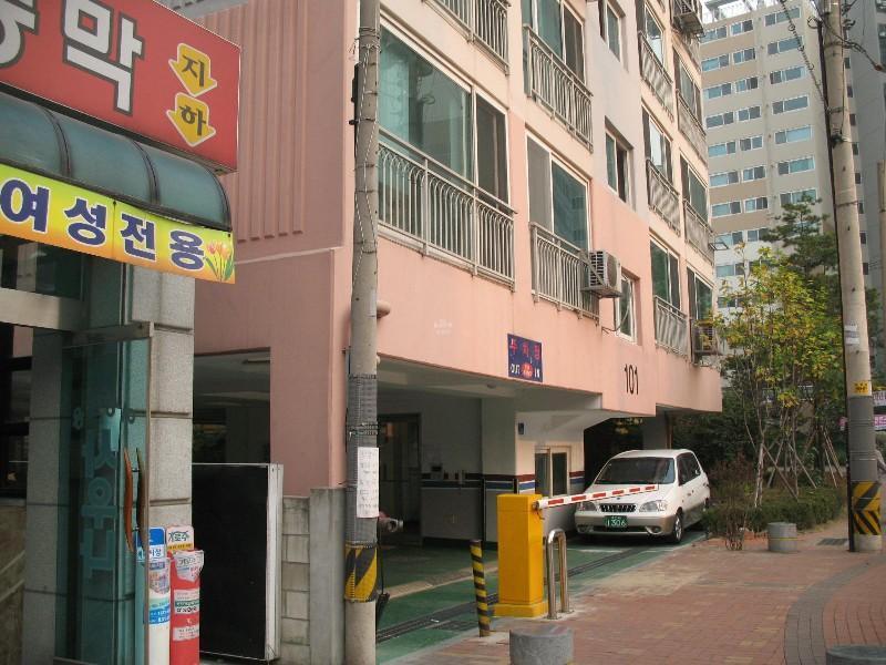 사진 910