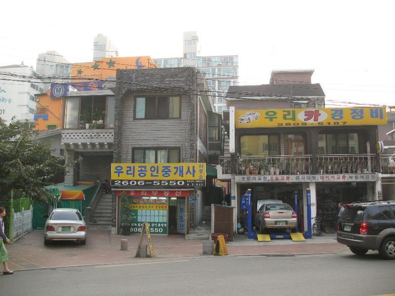 사진 919