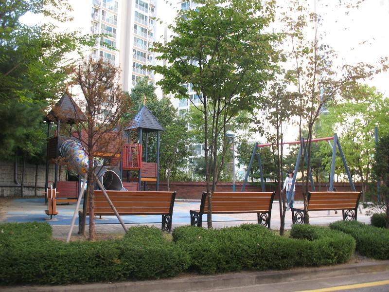 사진 555