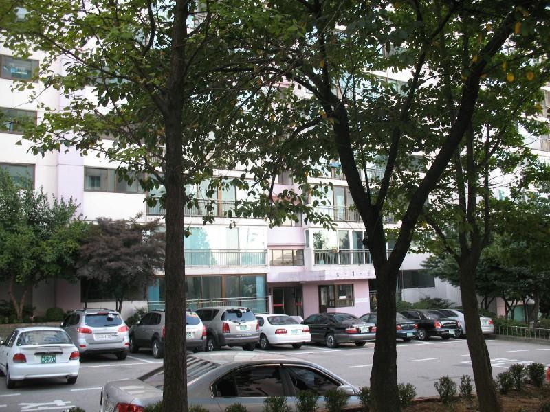 사진 552