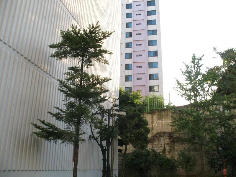 사진 558