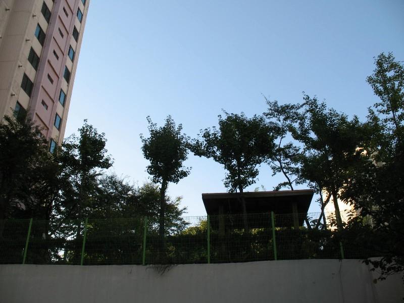 사진 553