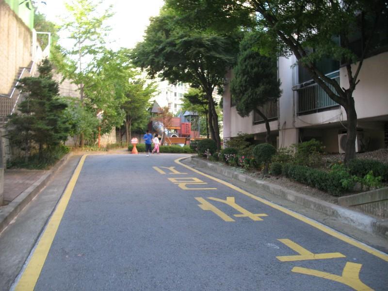 사진 554